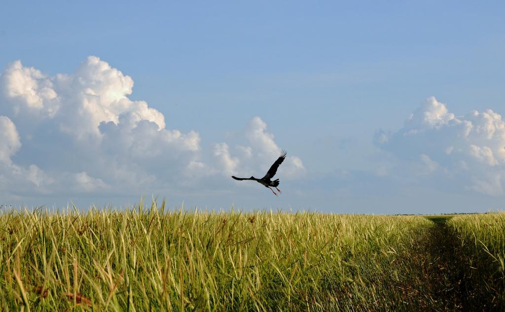 Bamurru Plains Point Stuart Εξωτερικό φωτογραφία