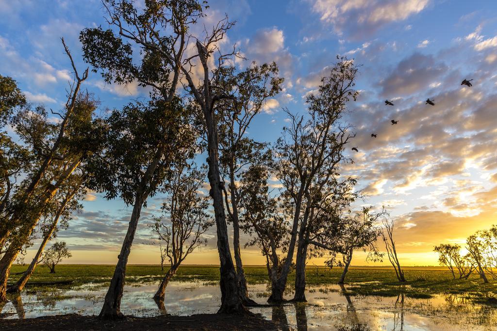 Bamurru Plains Point Stuart Εξωτερικό φωτογραφία